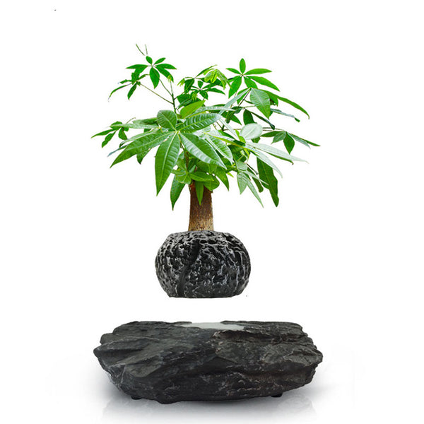 Magnetic levitation rotation potted plant