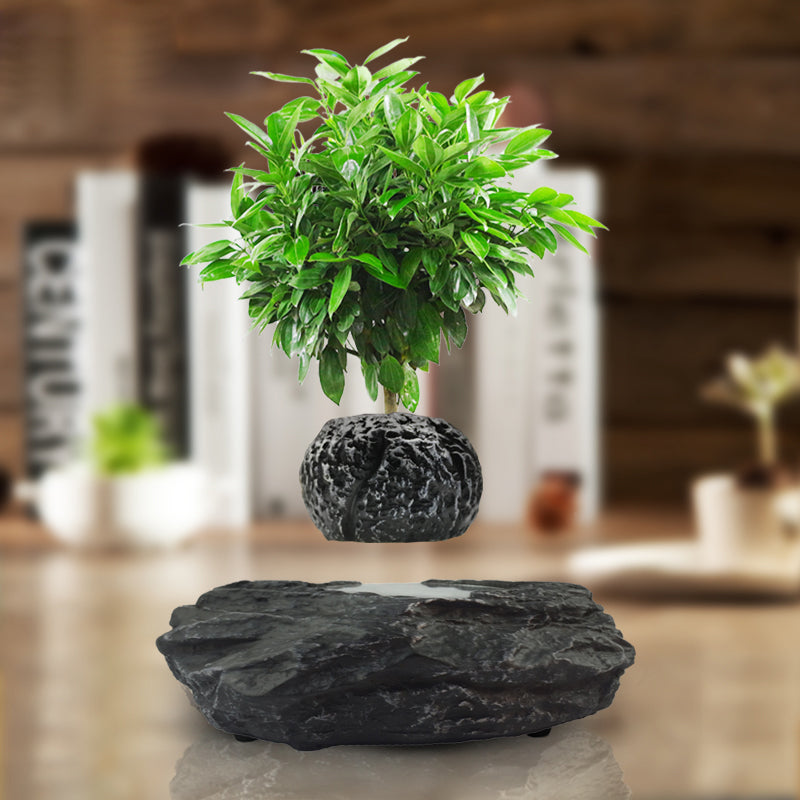 Magnetic levitation rotation potted plant